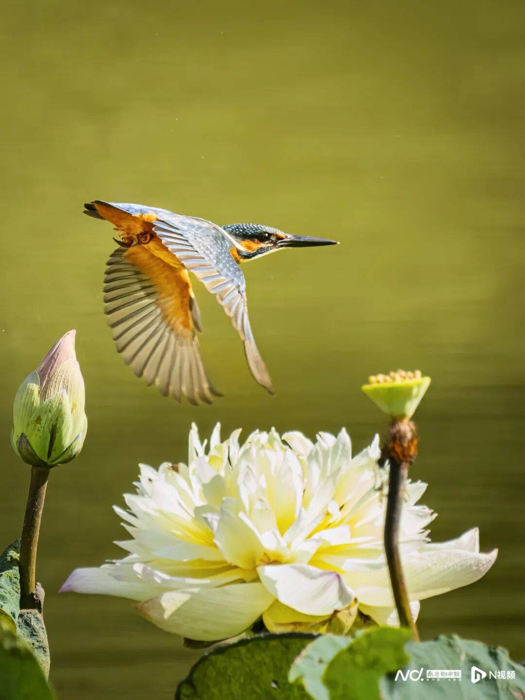 东莞最新发布：将严厉打击这些行为<strong></p>
<p>TRUMP币暴跌</strong>！