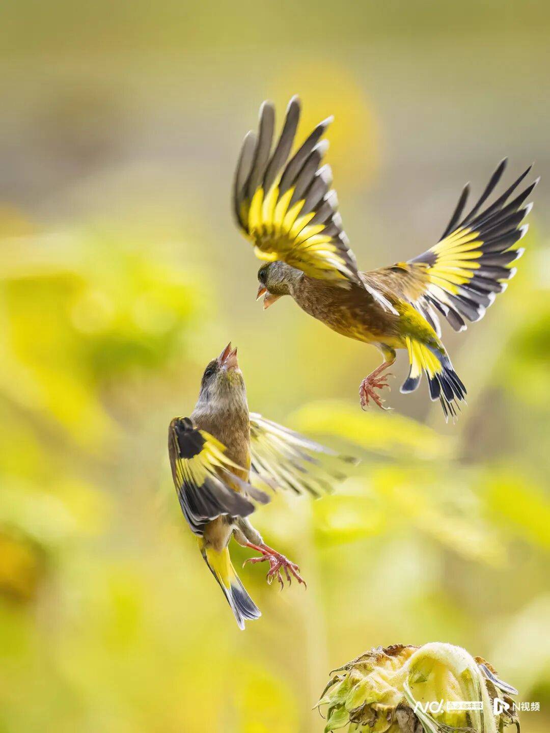 东莞最新发布：将严厉打击这些行为<strong></p>
<p>TRUMP币暴跌</strong>！