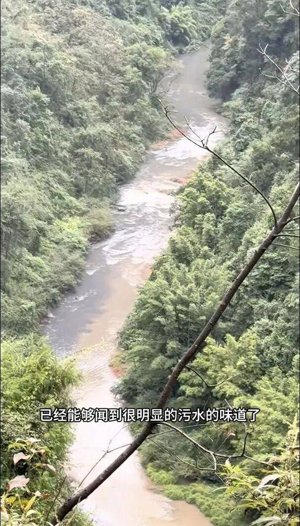 重庆通报：坚决查处<strong></p>
<p>麒麟币</strong>，绝不姑息