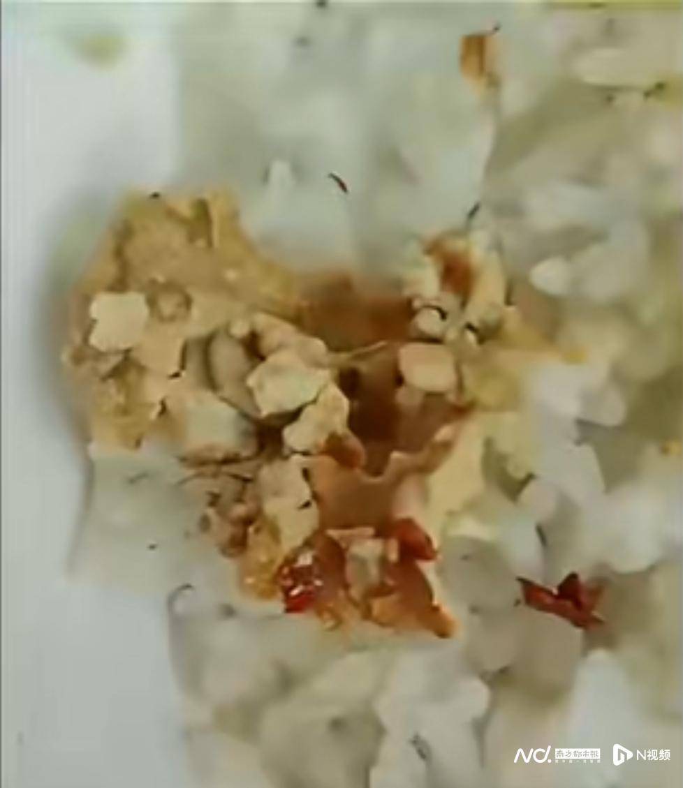 事发佛山<strong></p>
<p>麒麟币</strong>！有市民网购的豆腐乳内有蛆虫蠕动