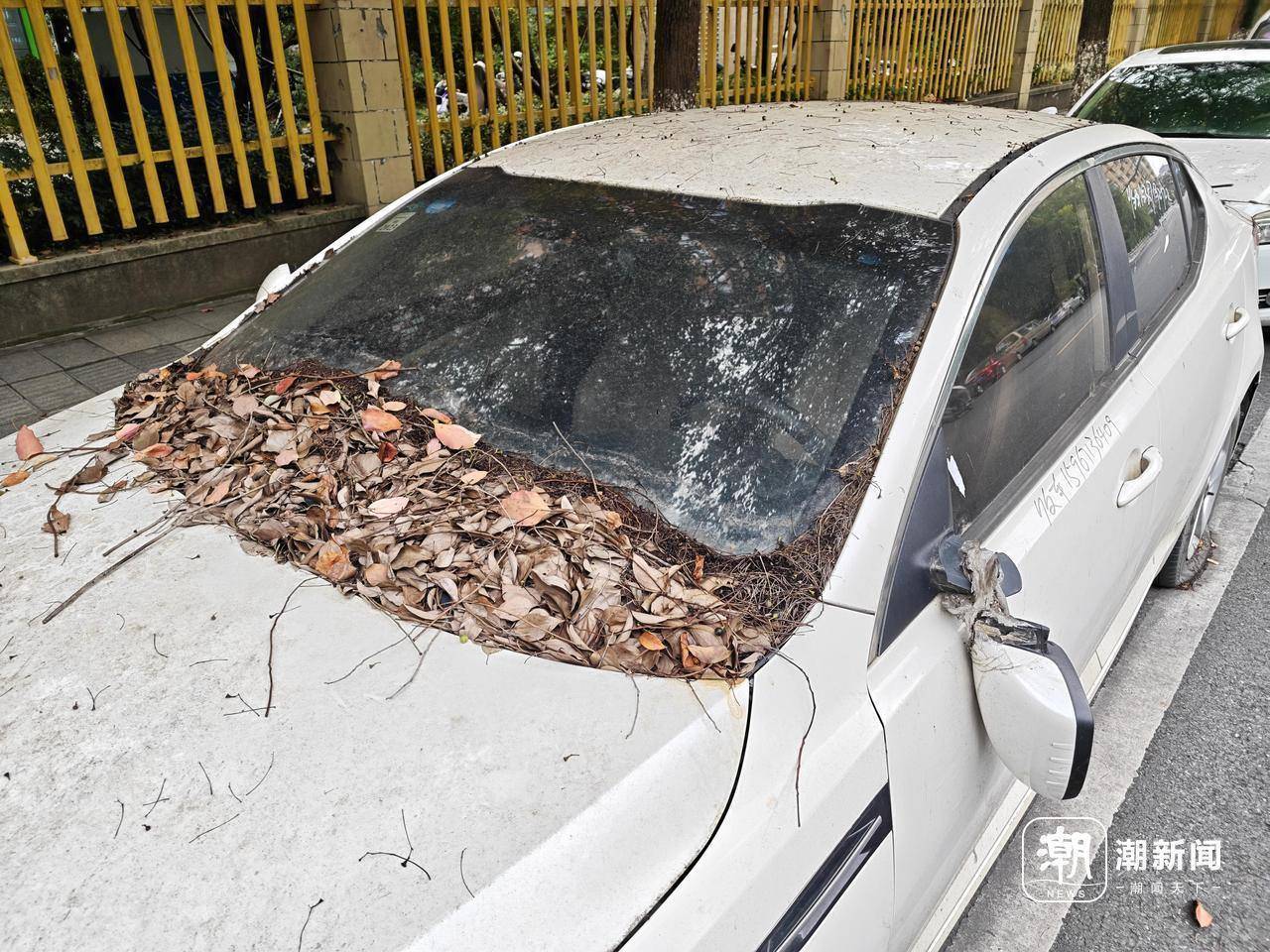 近三成疑似“僵尸车”<strong></p>
<p>trump币价</strong>，杭州这里的路边免费车位缘何成“停车场”