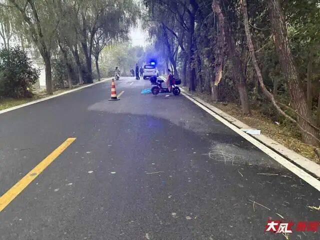 陕西兴平56岁女教师骑电动车“撞树枝”身亡<strong></p>
<p>币钱包</strong>，交警判定担主责，家属提出诸多质疑，多方回应