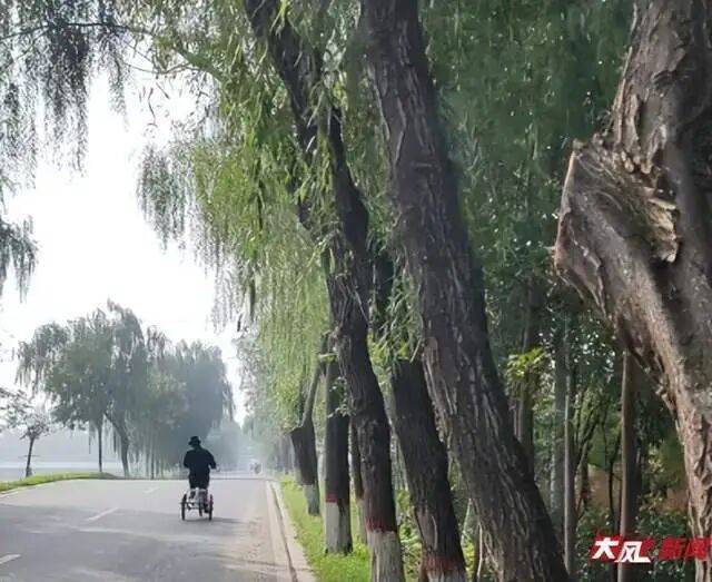 陕西兴平56岁女教师骑电动车“撞树枝”身亡<strong></p>
<p>币钱包</strong>，交警判定担主责，家属提出诸多质疑，多方回应