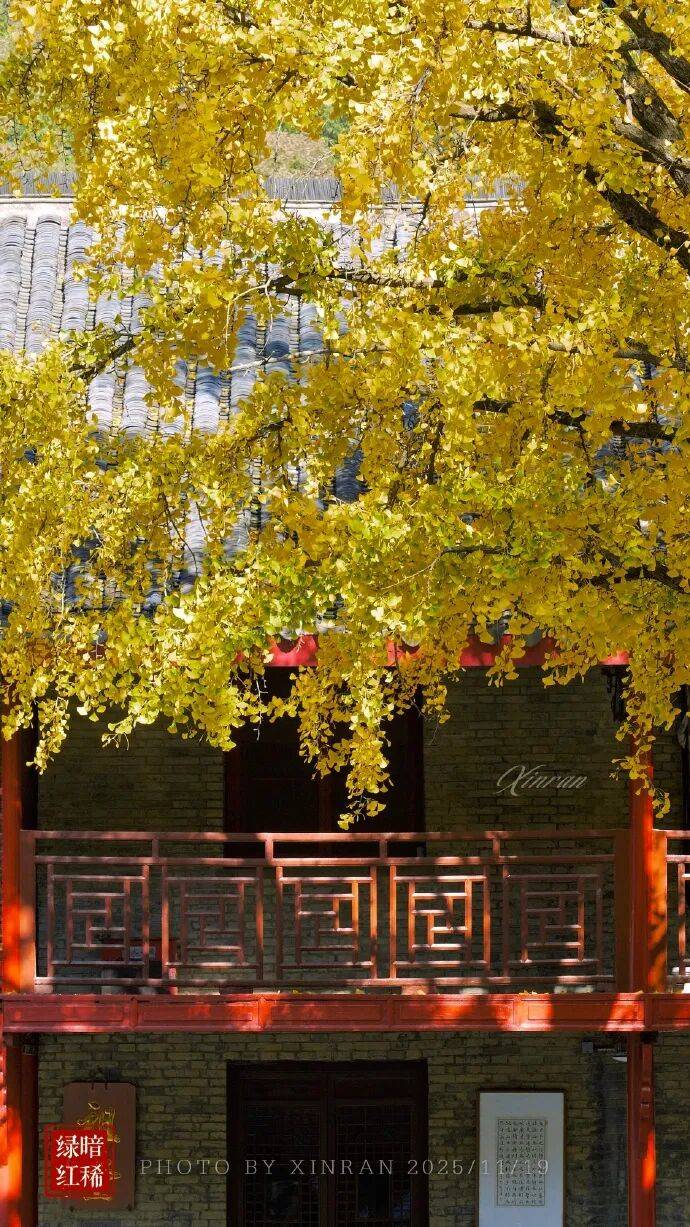 未来三天全省晴，气温缓慢回升<strong></p>
<p>uni</strong>。明晨淮河以南部分地区有雾或浓雾