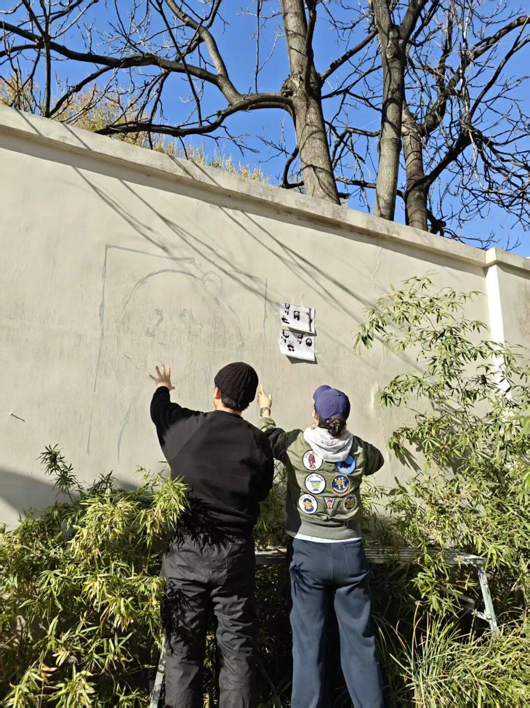 “颜值”出圈 天津和平区独山路这面彩绘墙“亮”<strong></p>
<p>vet</strong>了