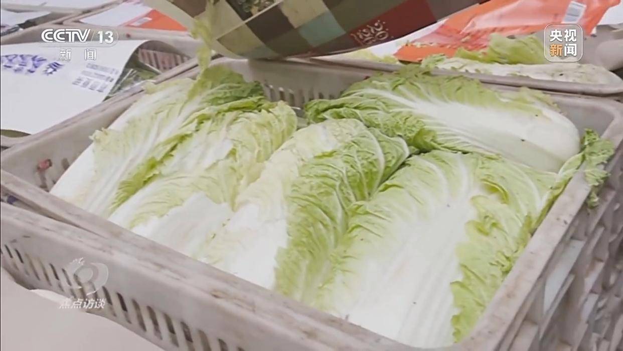 单棵售价超百元<strong></p>
<p>vet</strong>，起底“套牌白菜”背后的销售套路