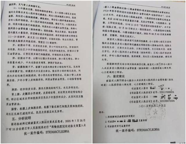 男子被一次性植入6个心脏支架后去世<strong></p>
<p>bitget官方下载</strong>，鉴定认为双方同等责任