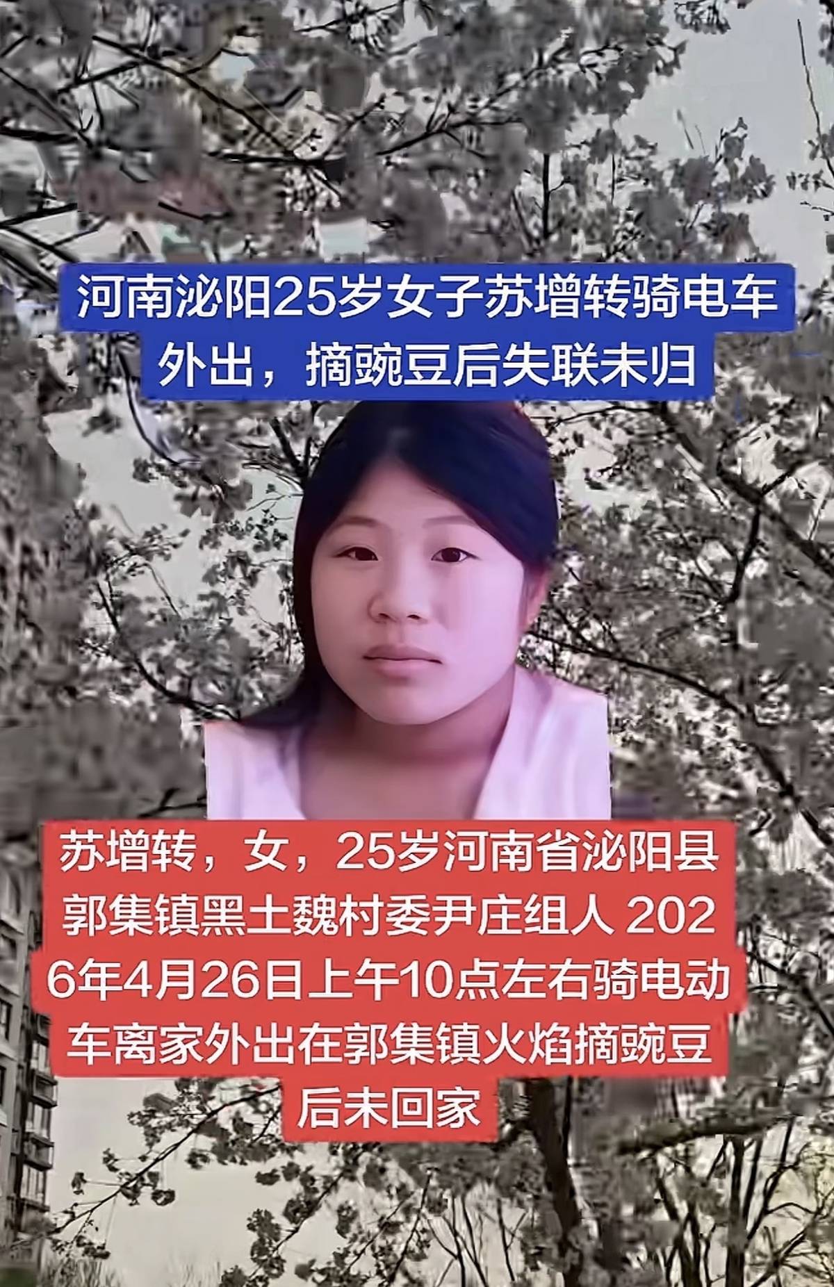 河南25岁女子清晨摘豌豆失联已超四天，知情人称她骑电动车回家途中走失，警方已介入